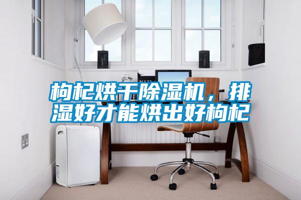 枸杞烘干除濕機(jī)，排濕好才能烘出好枸杞