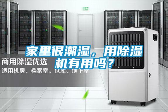 家里很潮濕，用除濕機(jī)有用嗎？