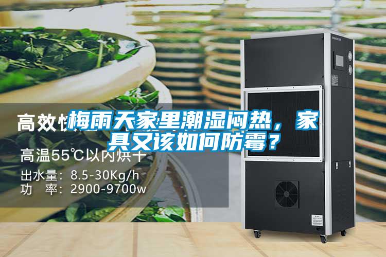 梅雨天家里潮濕悶熱，家具又該如何防霉？