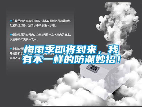 梅雨季即將到來，我有不一樣的防潮妙招！