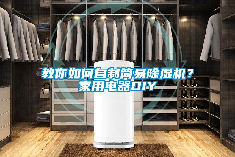 教你如何自制簡易除濕機？家用電器DIY