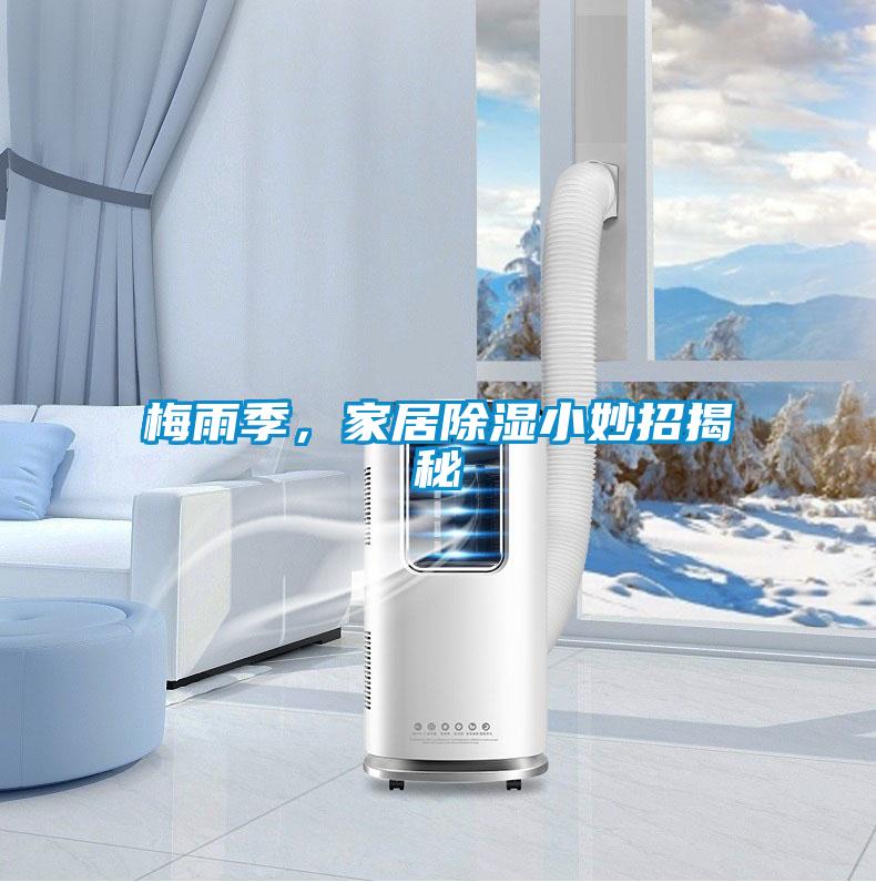 梅雨季，家居除濕小妙招揭秘