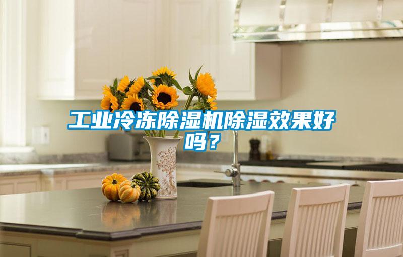 工業(yè)冷凍除濕機(jī)除濕效果好嗎？