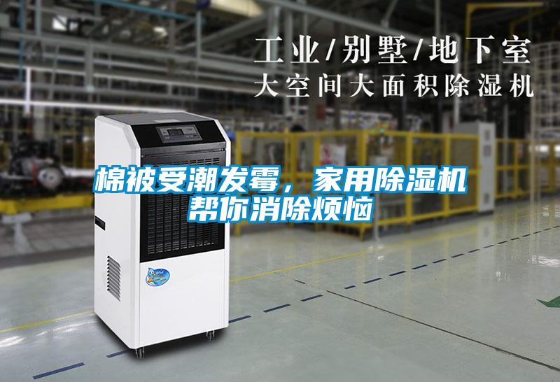 棉被受潮發(fā)霉，家用除濕機(jī)幫你消除煩惱