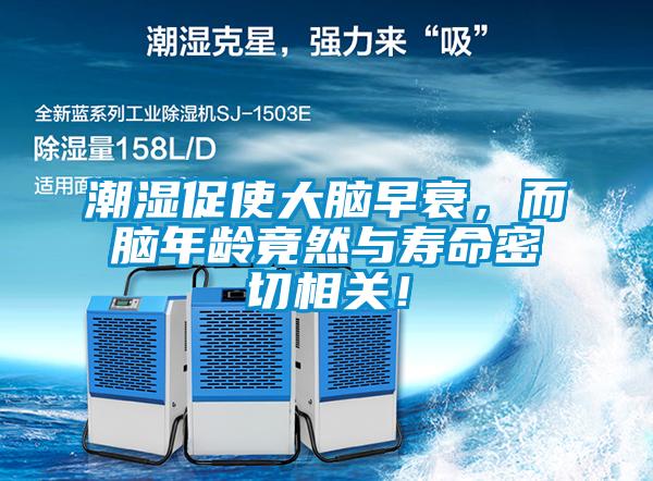 潮濕促使大腦早衰，而腦年齡竟然與壽命密切相關！