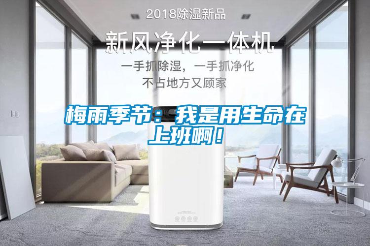 梅雨季節(jié)：我是用生命在上班?。?/></p>
						    <p style=