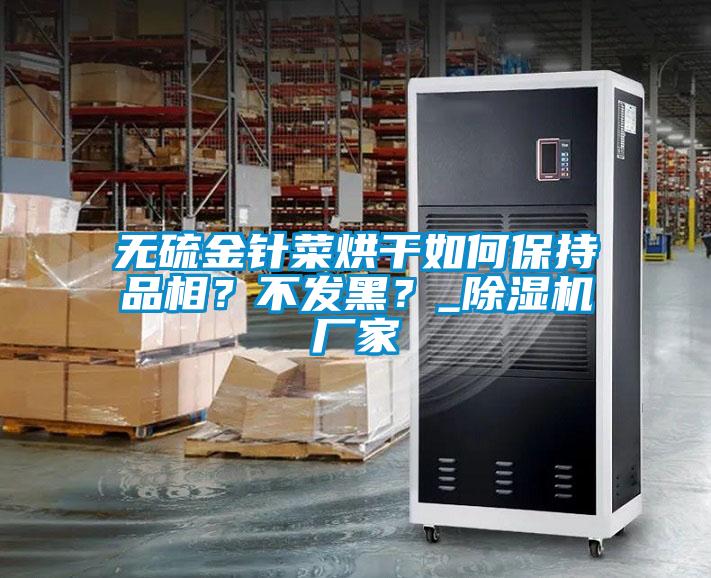 無硫金針菜烘干如何保持品相？不發(fā)黑？_除濕機(jī)廠家