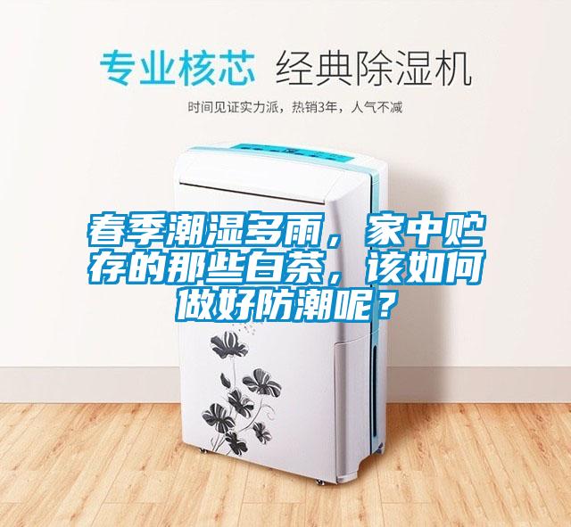 春季潮濕多雨，家中貯存的那些白茶，該如何做好防潮呢？