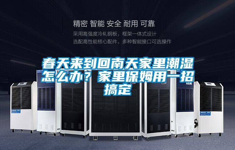 春天來(lái)到回南天家里潮濕怎么辦？家里保姆用一招搞定