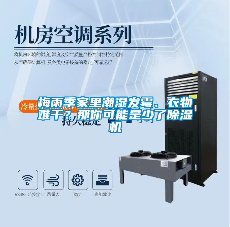 梅雨季家里潮濕發(fā)霉、衣物難干？那你可能是少了除濕機(jī)