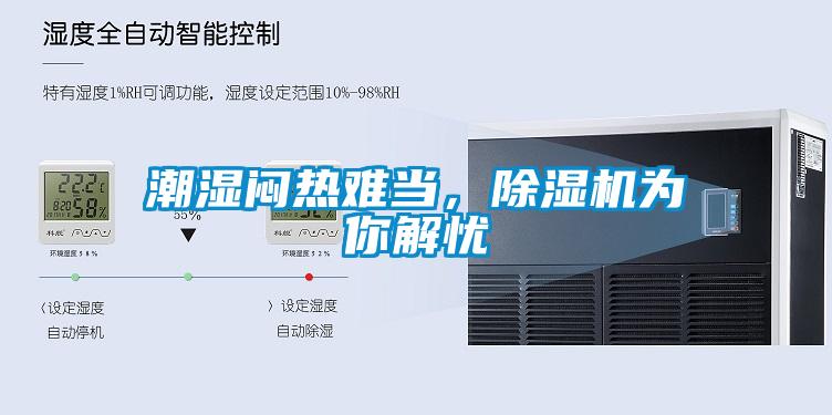 潮濕悶熱難當，除濕機為你解憂
