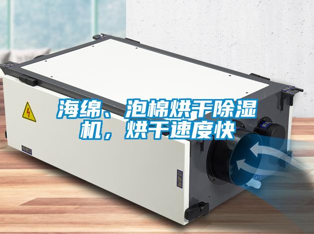 海綿、泡棉烘干除濕機，烘干速度快