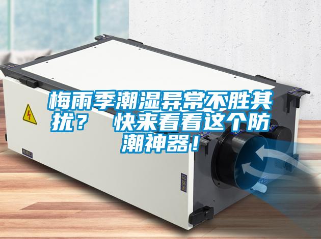 梅雨季潮濕異常不勝其擾？ 快來(lái)看看這個(gè)防潮神器！