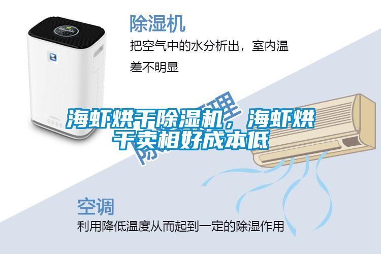 海蝦烘干除濕機，海蝦烘干賣相好成本低