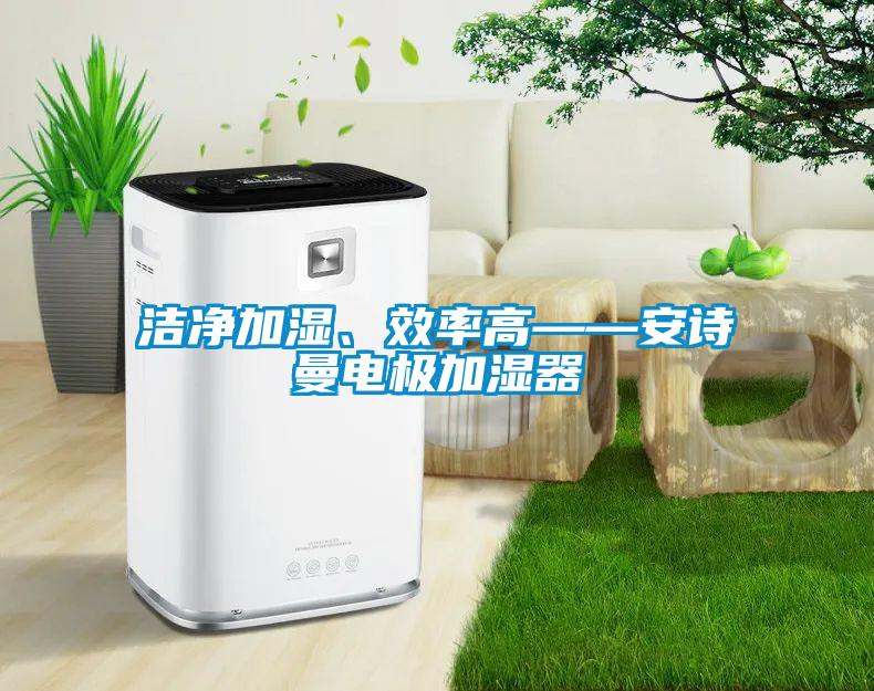 潔凈加濕、效率高——安詩(shī)曼電極加濕器