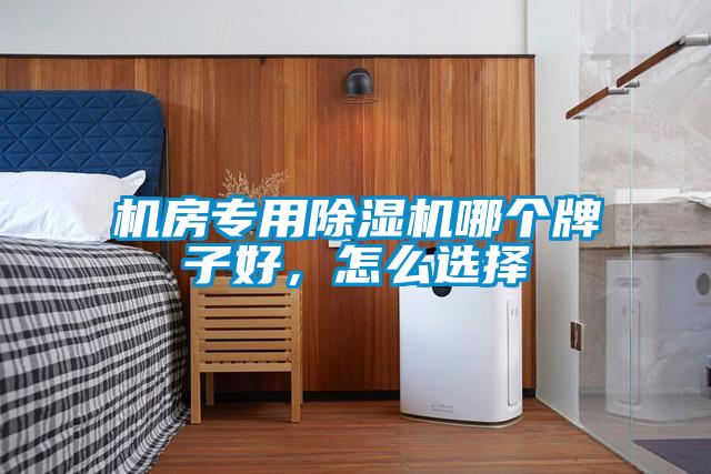 機(jī)房專用除濕機(jī)哪個(gè)牌子好，怎么選擇