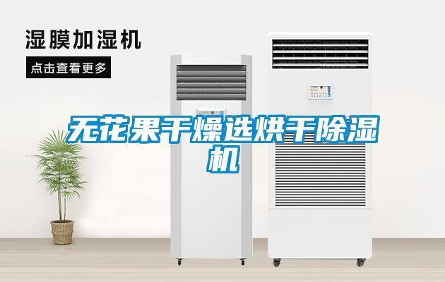 無(wú)花果干燥選烘干除濕機(jī)