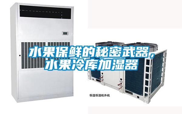 水果保鮮的秘密武器，水果冷庫加濕器