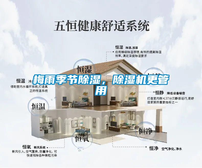 梅雨季節(jié)除濕，除濕機更管用