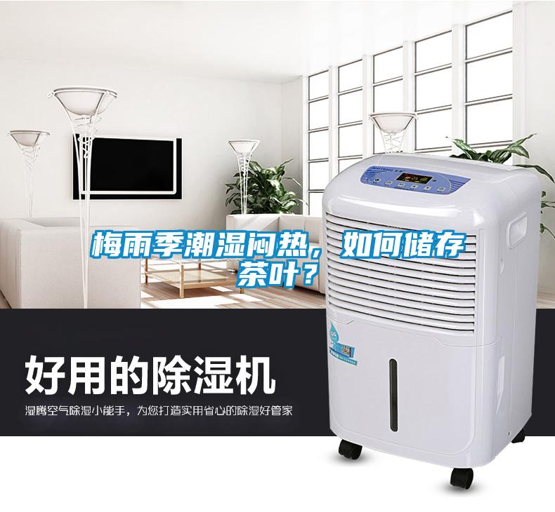 梅雨季潮濕悶熱，如何儲存茶葉？