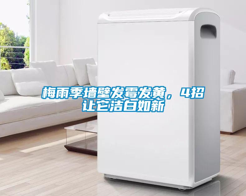 梅雨季墻壁發(fā)霉發(fā)黃，4招讓它潔白如新