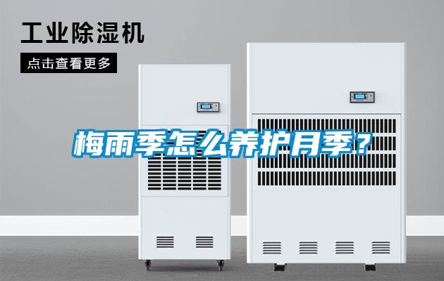 梅雨季怎么養(yǎng)護(hù)月季？