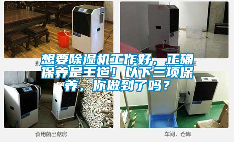 想要除濕機(jī)工作好，正確保養(yǎng)是王道！以下三項(xiàng)保養(yǎng)，你做到了嗎？
