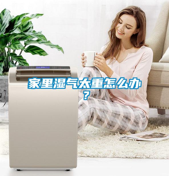 家里濕氣太重怎么辦？