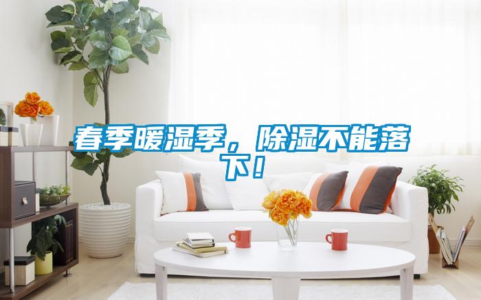 春季暖濕季，除濕不能落下！