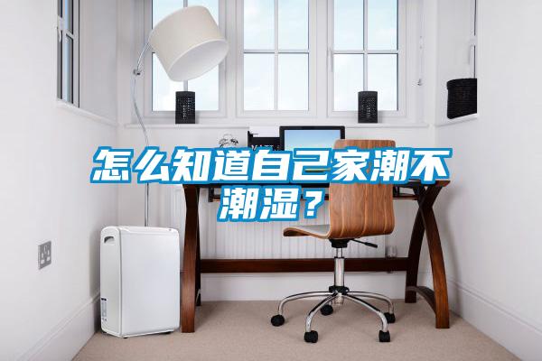 怎么知道自己家潮不潮濕？