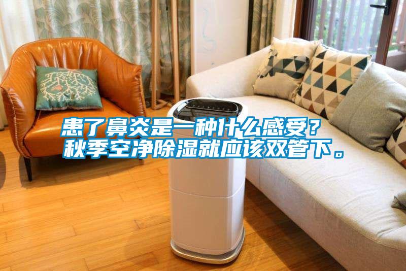 患了鼻炎是一種什么感受？ 秋季空凈除濕就應(yīng)該雙管下。