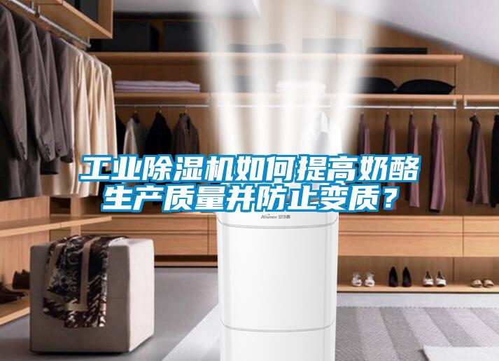 工業(yè)除濕機(jī)如何提高奶酪生產(chǎn)質(zhì)量并防止變質(zhì)？