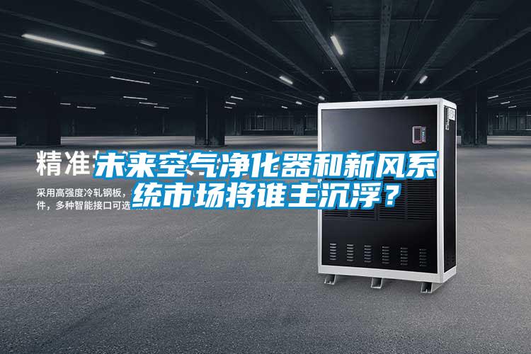 未來空氣凈化器和新風系統(tǒng)市場將誰主沉??？