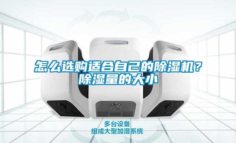 怎么選購適合自己的除濕機(jī)？除濕量的大小