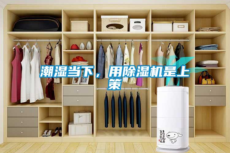 潮濕當(dāng)下，用除濕機是上策