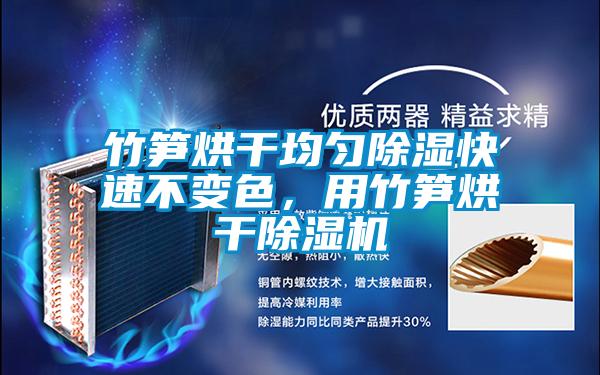 竹筍烘干均勻除濕快速不變色，用竹筍烘干除濕機(jī)