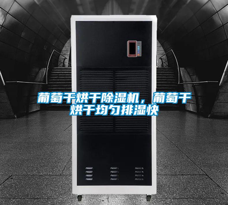 葡萄干烘干除濕機(jī)，葡萄干烘干均勻排濕快