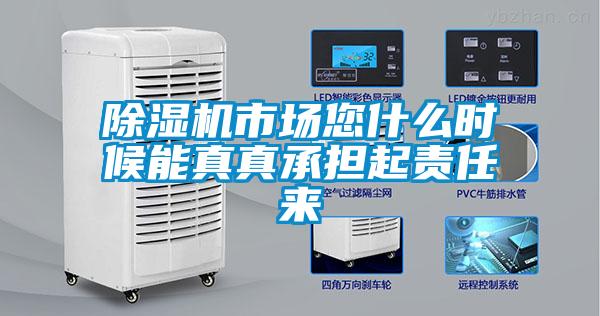 除濕機(jī)市場(chǎng)您什么時(shí)候能真真承擔(dān)起責(zé)任來(lái)