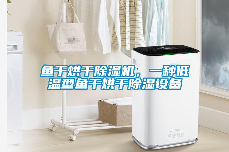 魚(yú)干烘干除濕機(jī)，一種低溫型魚(yú)干烘干除濕設(shè)備