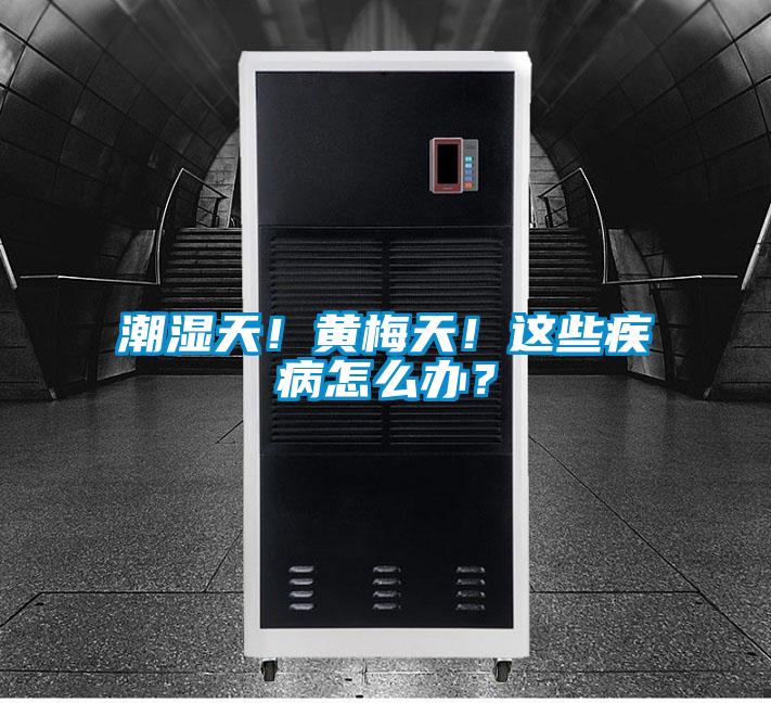潮濕天！黃梅天！這些疾病怎么辦？
