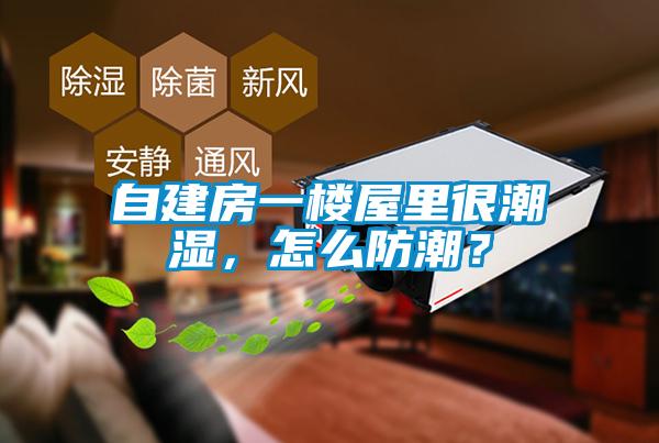 自建房一樓屋里很潮濕，怎么防潮？