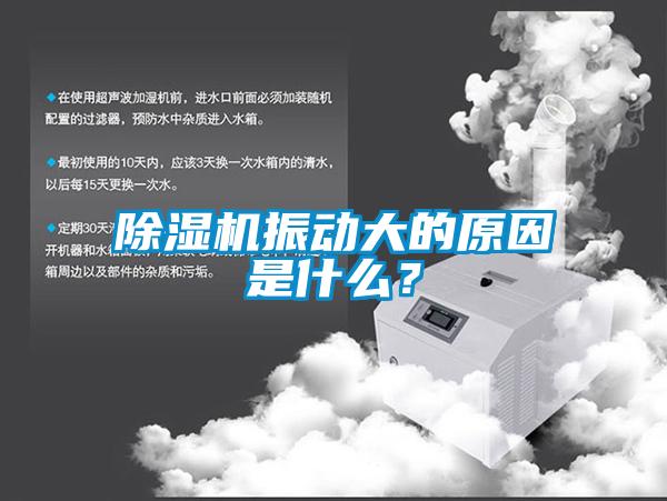 除濕機(jī)振動(dòng)大的原因是什么？