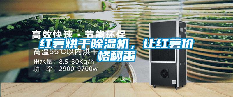紅薯烘干除濕機(jī)，讓紅薯價(jià)格翻番