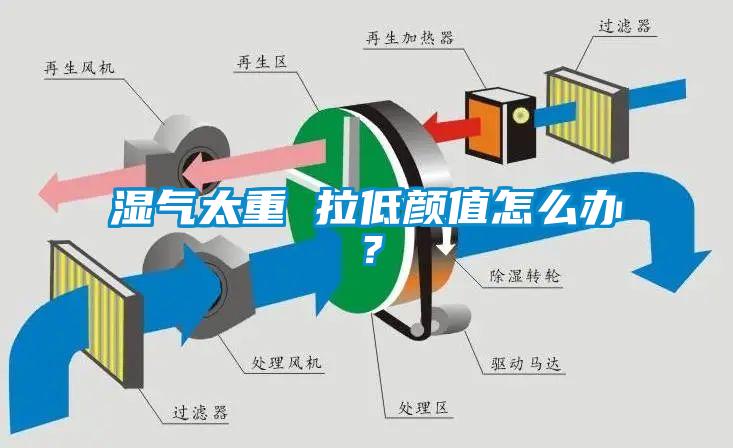 濕氣太重 拉低顏值怎么辦？