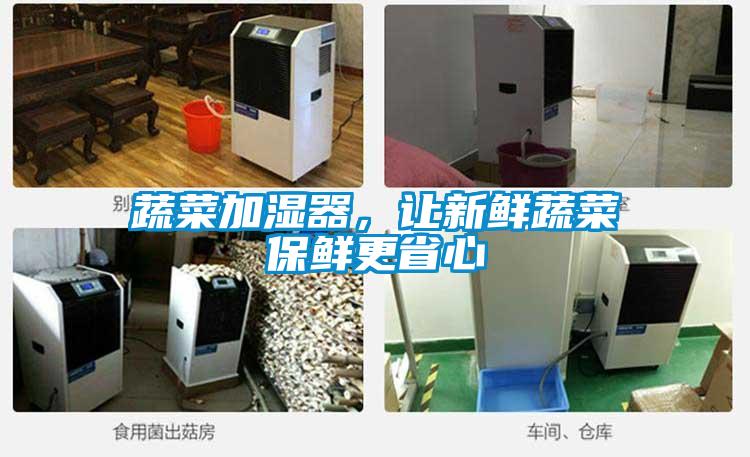 蔬菜加濕器，讓新鮮蔬菜保鮮更省心