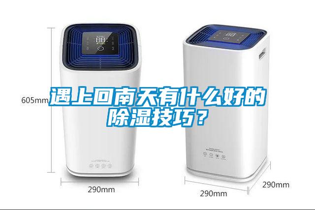 遇上回南天有什么好的除濕技巧？