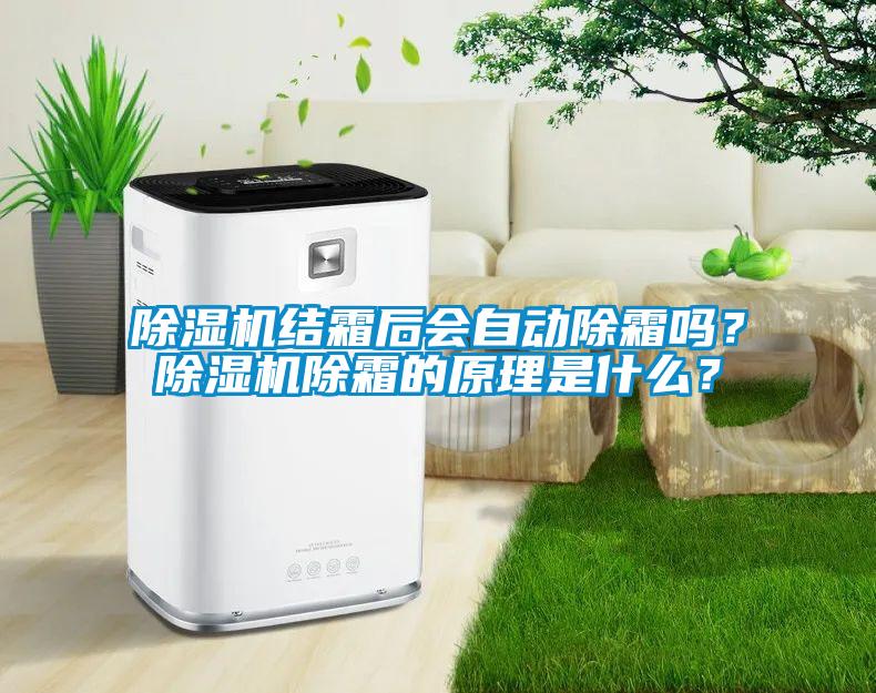 除濕機結霜后會自動除霜嗎？除濕機除霜的原理是什么？