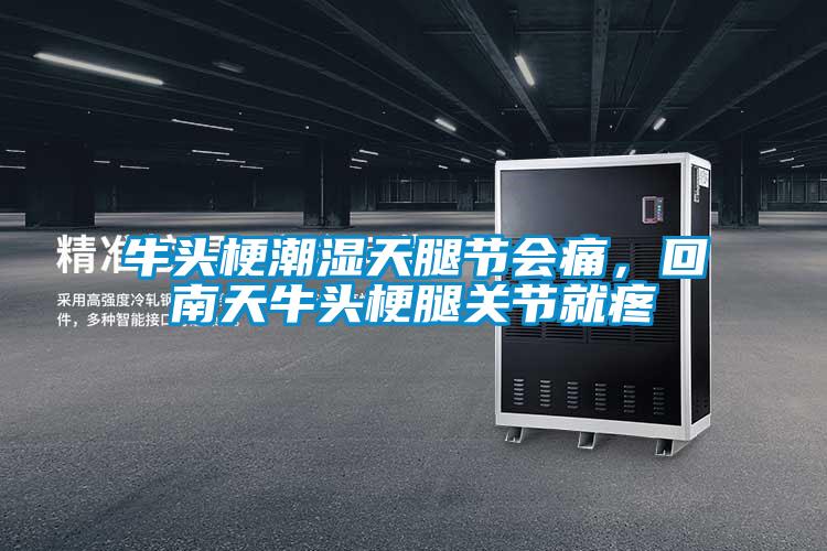 牛頭梗潮濕天腿節(jié)會(huì)痛，回南天牛頭梗腿關(guān)節(jié)就疼