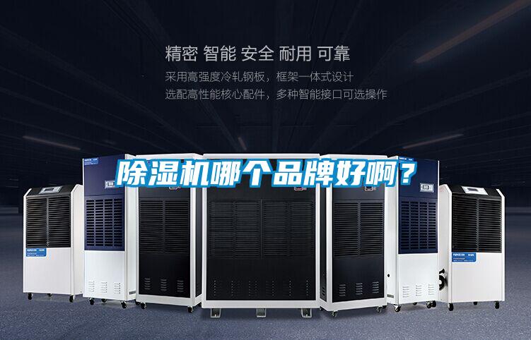 除濕機(jī)哪個(gè)品牌好???