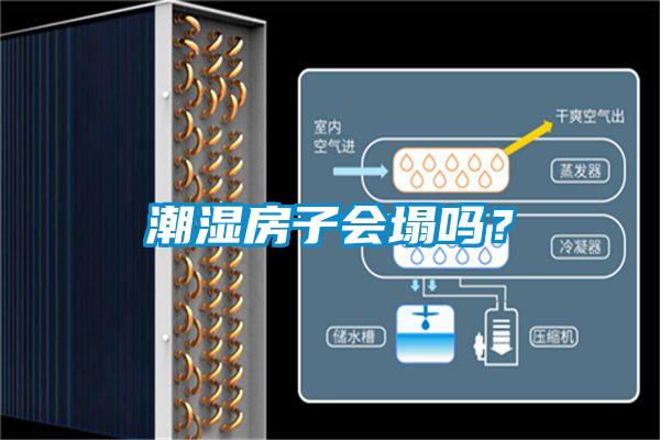 潮濕房子會塌嗎？